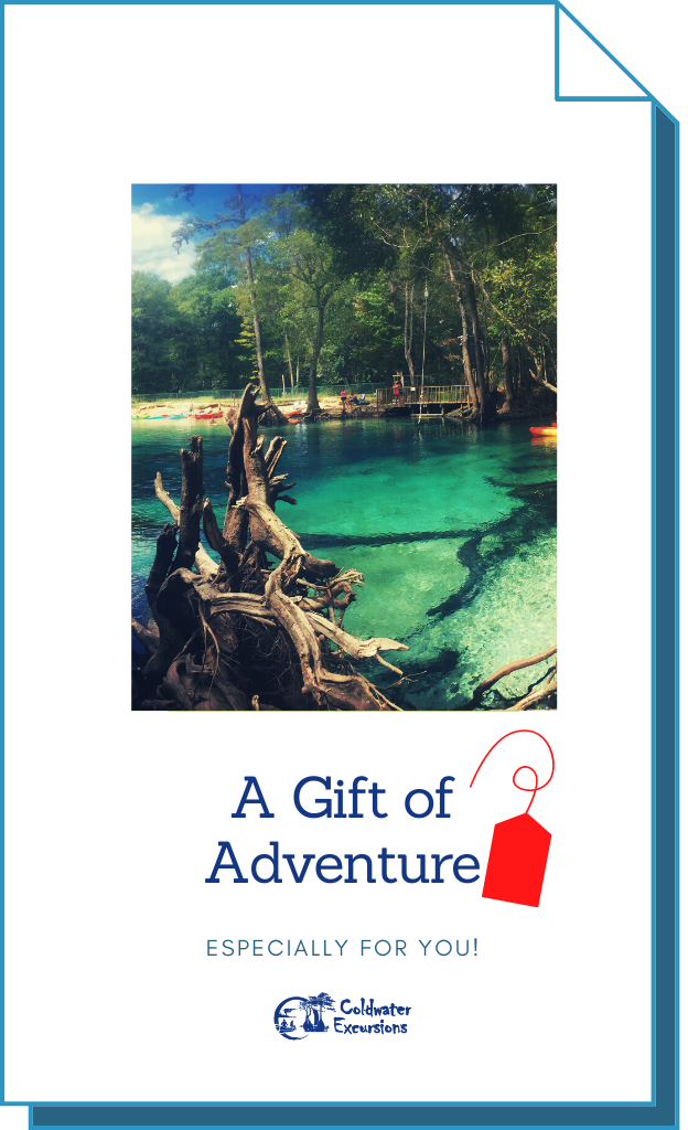 Coldwater Excursions Gift Cards